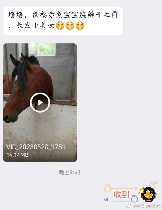 剑网3[超话]##剑网3趣事[超话]#投稿:赤兔宝宝编辫子之前,长发小美女