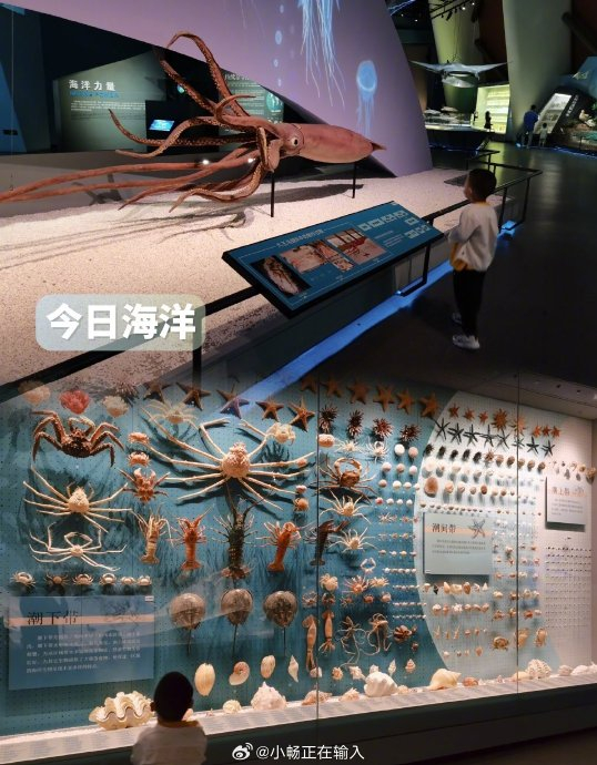 快来看看被誉为"海洋故宫"的国家海洋博物馆!