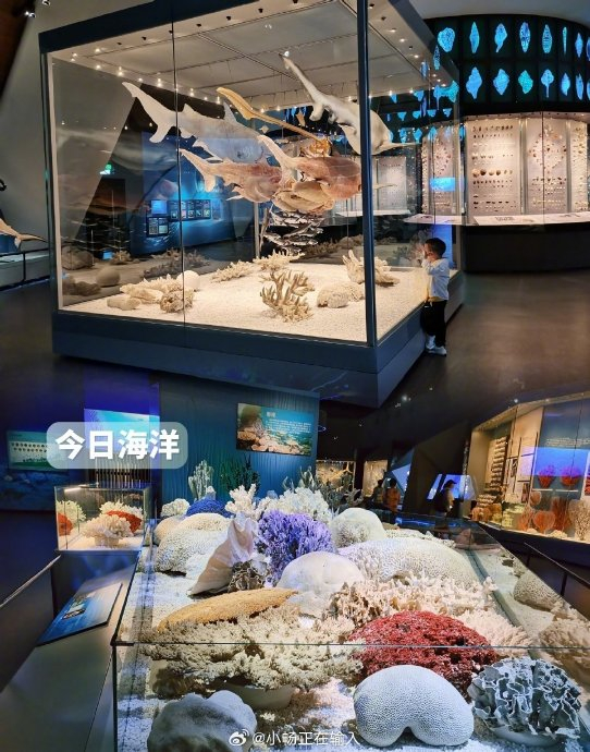 快来看看被誉为"海洋故宫"的国家海洋博物馆!