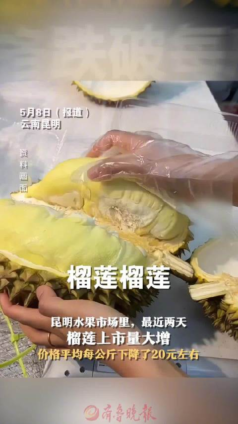 昆明榴莲部分价格跌破每斤10元
