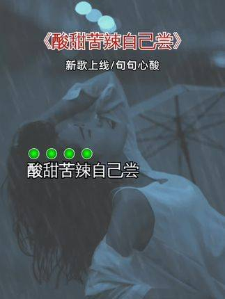 酸甜苦辣自己尝送给自己的歌