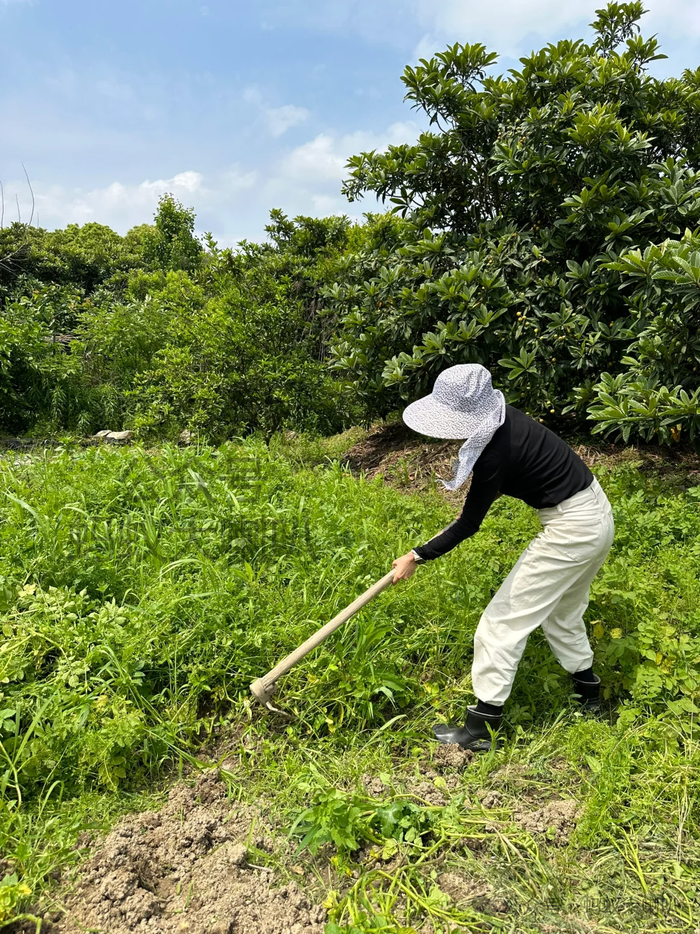 字节女员工:大厂被裁,带着260万存款回老家种地.每月利息4961.21元