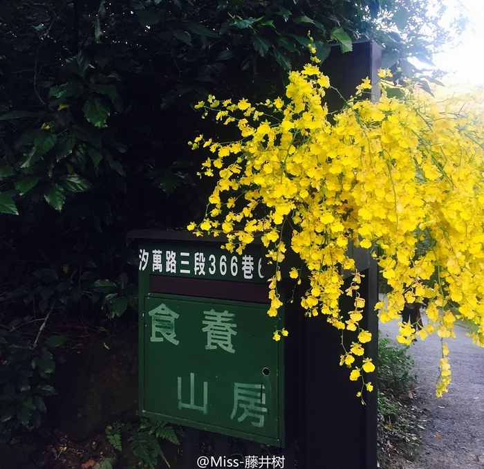 他43岁归隐深山,开了家没有菜单的饭馆,一个月只接待30人,连李安吃饭