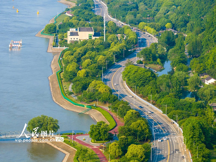 江苏南京:长江岸线生态如画