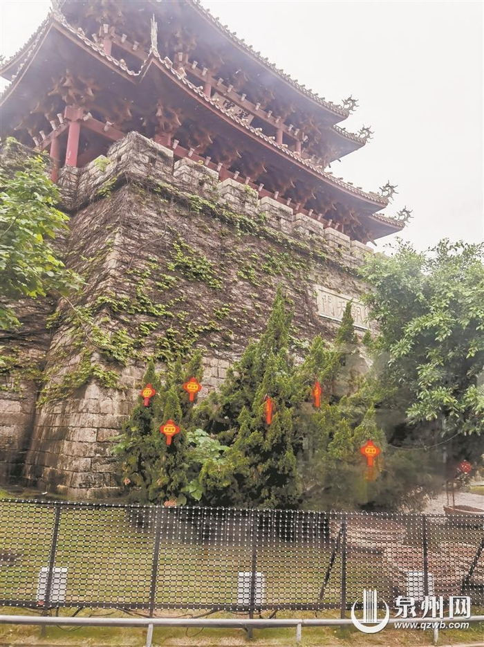近日,记者也追逐着"春色",搭乘公交车,漫游泉州古城,晋江梧林,石狮