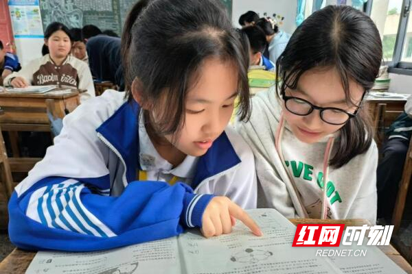 桃源一中开展2024年"同在一片蓝天下"德育实践活动