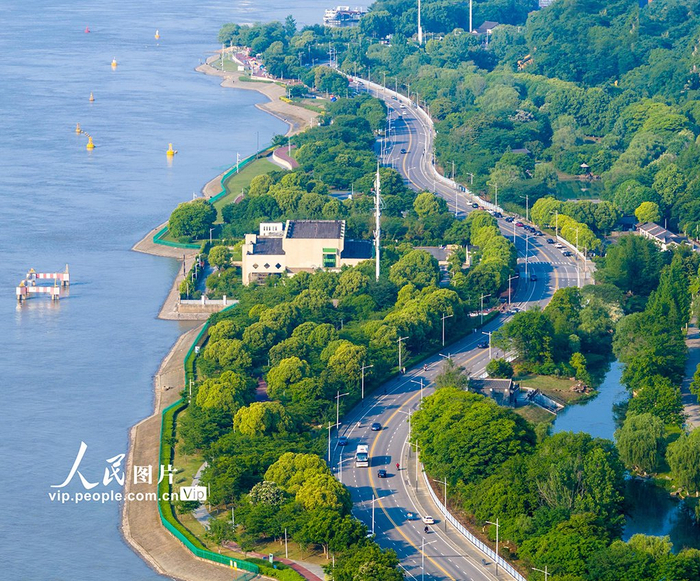 江苏南京:长江岸线生态如画