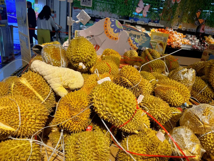 ▲资料图 中新经纬 摄