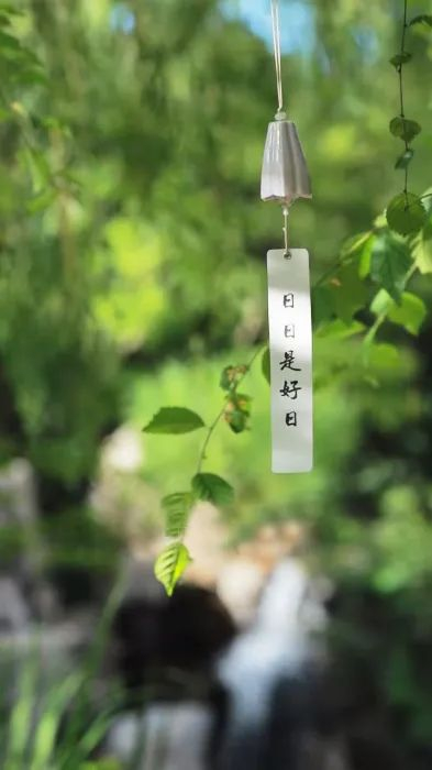 日出有光有盼,日落有风有念