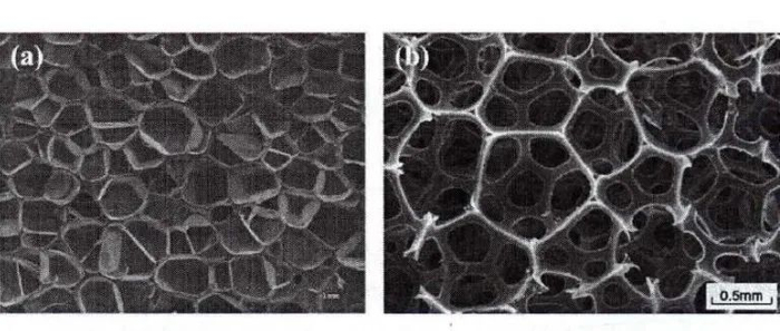 图片说明：左图（a）是 EVA 材质发泡后的闭口泡孔，相互隔绝；右图（b）PVC 材质的开口泡孔。图片来源：参考文献