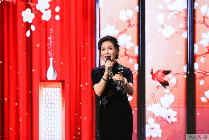 图说|"玉兰花开·魅力上海"绽放维也纳联合国总部