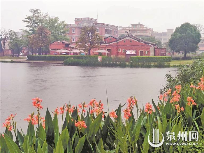 追逐"春色",搭乘公交漫游泉州——花最少的钱 看最美的景