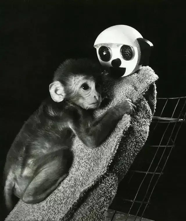 乘风2024|陈昊宇_新浪新闻