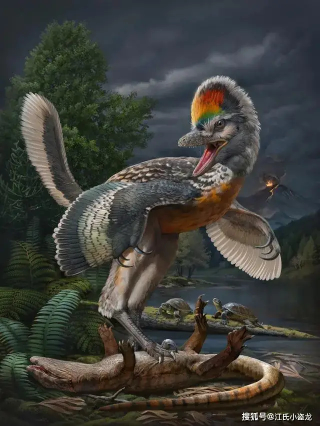 【恐龙王国】福建发现6米伤齿龙脚印