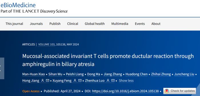 ebiomedicine | 中山大学罗镇华/冯旭阳/刘钧澄团队揭示黏膜相关恒定t