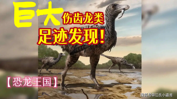 【恐龙王国】福建发现6米伤齿龙脚印