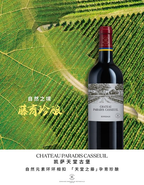 被赞世界葡萄酒之乡!欧洲旅行地top1,这个殿堂级酒城太有腔调了