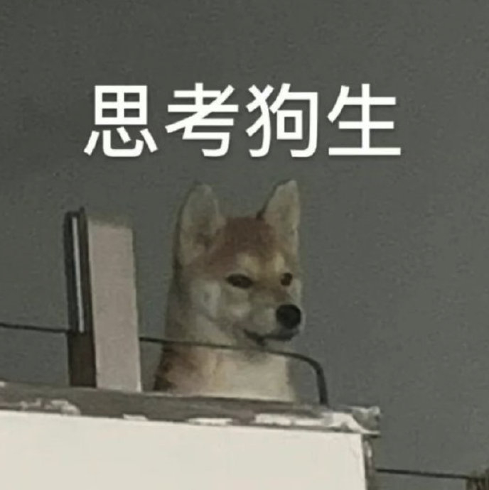 小众实用表情包