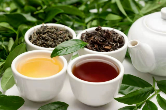 凌云白毫茶。自治区文化和旅游厅供图