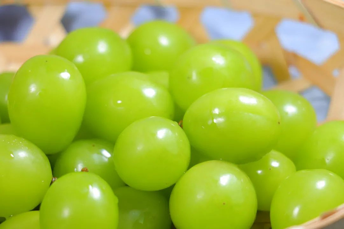 好物 | 云南晴王阳光玫瑰葡萄,入口爽脆爆甜