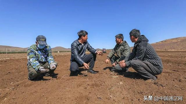 通辽中早熟区玉米百亩田单产纪录再创新高