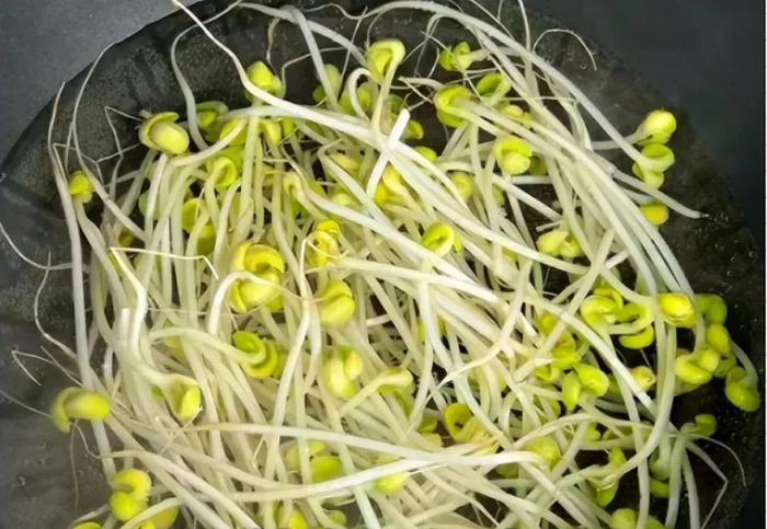 虾仁|豆芽|鲜美_新浪新闻