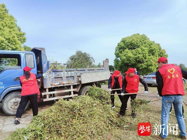 劳动最光荣,共建美丽家园!常熟市碧溪街道徐虎村开展"村庄清洁日"活动