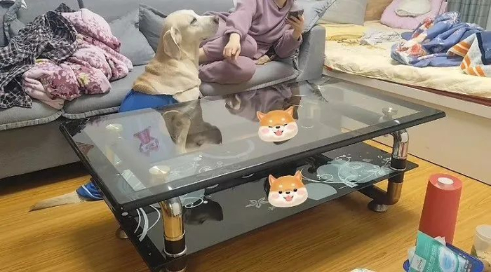 中年北漂:已放弃租房,住车里