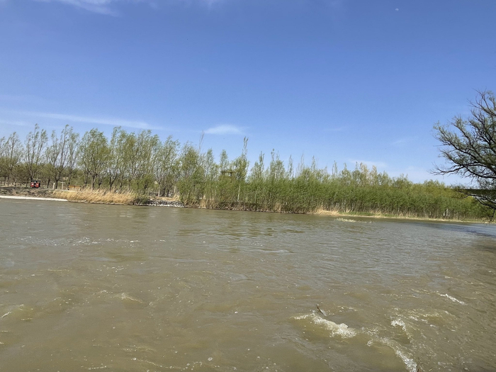 4月17日，八号桥湿地一角。  新京报记者 吴婷婷 摄