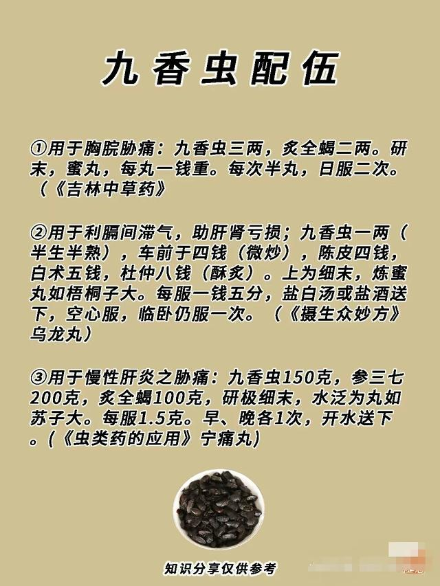 挺有争议的一味药材—九香虫