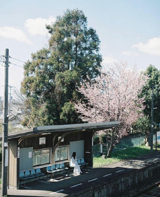 静谧的光 | 摄影师hiro胶片影像