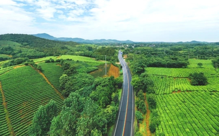 郎溪县下吴村入选安徽省村庄规划编制典型案例