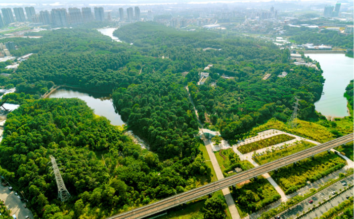 07踏青研学,扦插育苗,探寻绿美南海!免费报名