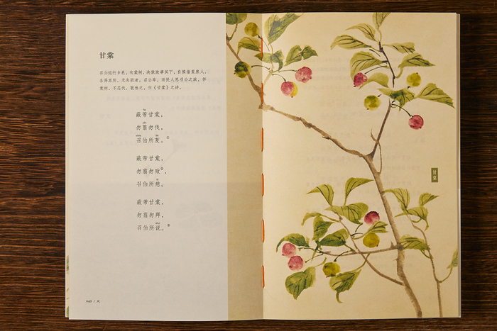 《诗经》里那些惊艳了2500年的文字,究竟美在哪里?