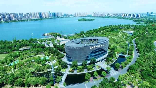 陈冰:城市是靠记忆而存在的