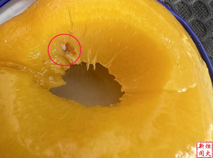 黄桃罐头里虫子图片