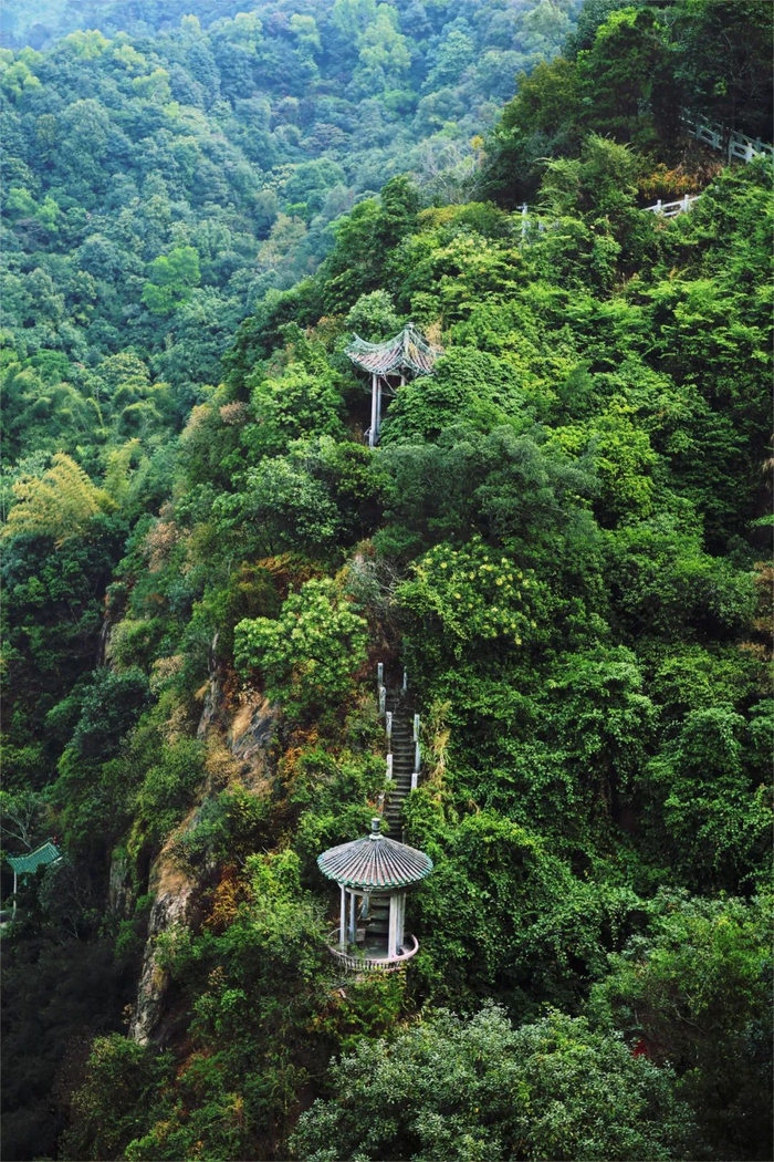 佛山多个a级景区限时优惠!