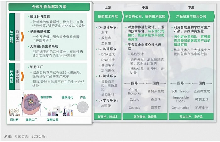 ▲来源：波士顿咨询公司 上海合成生物学创新中心 B Capital