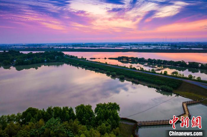 饶颐 摄安徽省池州市贵池区杏花村晚霞如织,绮丽非凡.饶颐 摄
