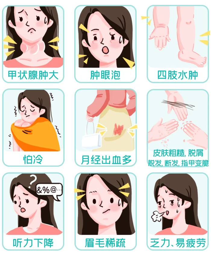 和甲亢一样,甲减对女性健康的影响也非常大.