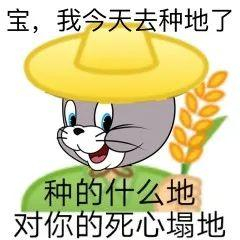 成都"qq农场"玩真的了?