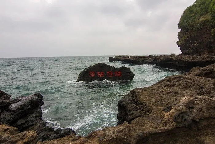 相思树,流年度,无端又被西风误.海枯石烂情缘在,幽恨不埋黄土.