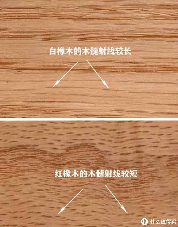 橡木vs橡胶木一字之差差距巨大,跟着买不被坑哦!