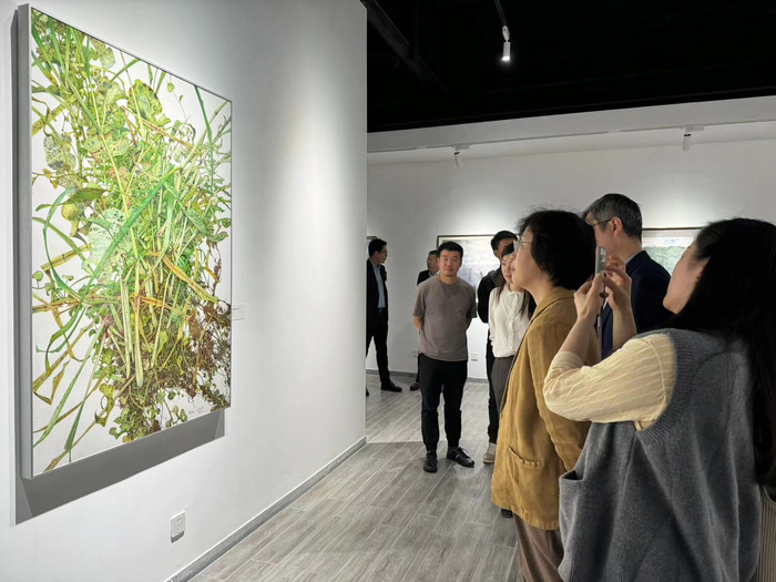 这场展览亮相申城 ,"云艺入沪"系列艺术策展计划启动|云南省|上海市