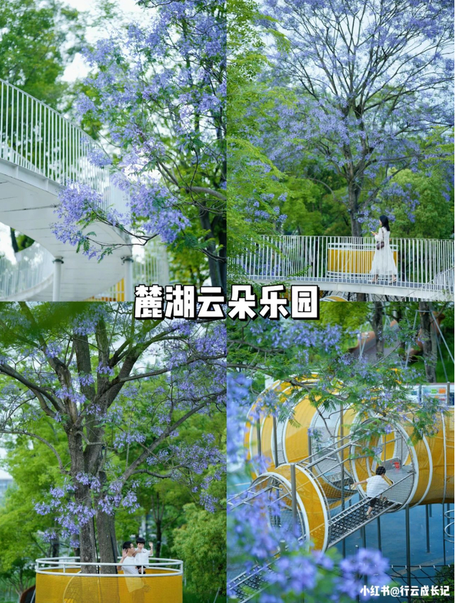 市区新晋好耍地盘点,人少景美周末就冲!|成都市|云朵_新浪新闻