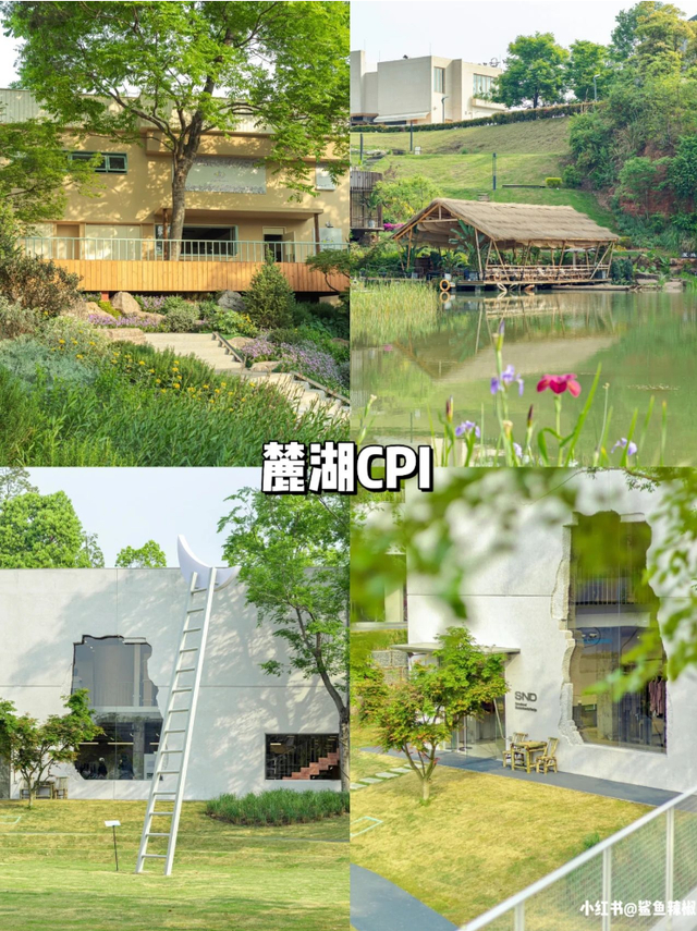 市区新晋好耍地盘点,人少景美周末就冲!|成都市|云朵_新浪新闻