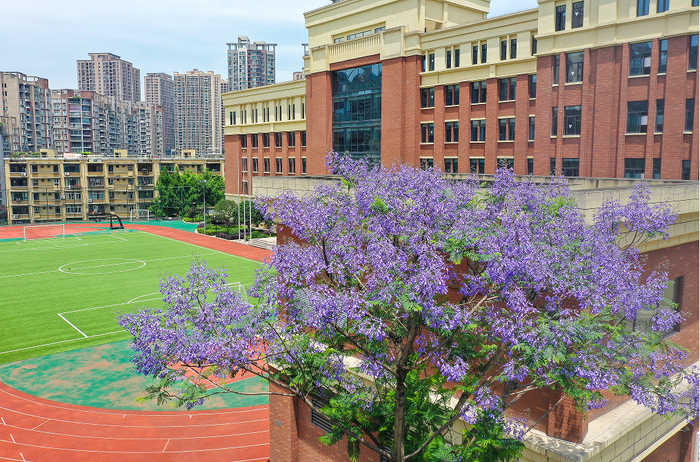 68中.图:沙磁荟沙坪坝小学沙滨学校.图:沙磁荟磁器口古镇.