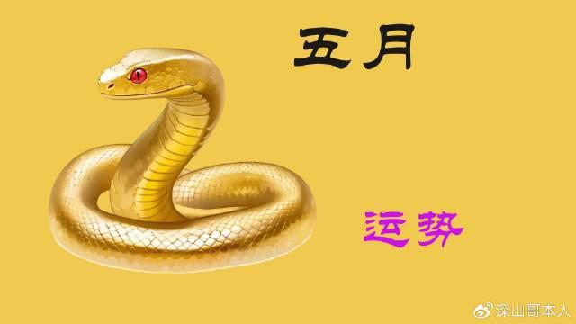 头条是什么生肖(今日头条的生肖在哪里)