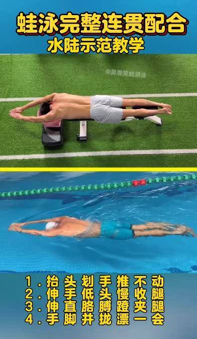 蛙泳完整连贯配合示范,水陆动作都怎么练
