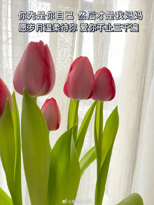 母亲节没有文案,希望所有的妈妈健康平安快乐就好
